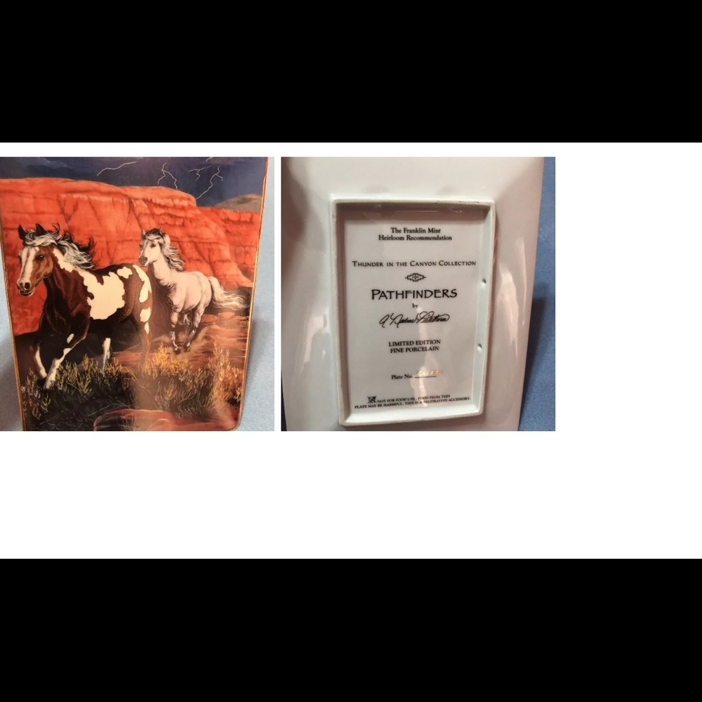 A limited edition by artist A. Nadine Pickthorn.